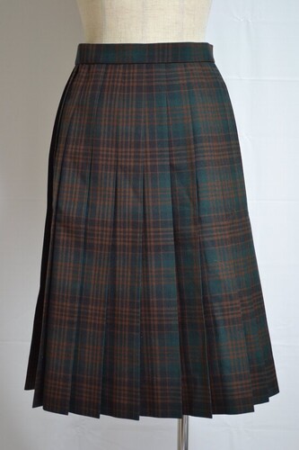  ����t�� ���{�䏗�q�w�@�������E������ �ăX�J�[�g��VT0632