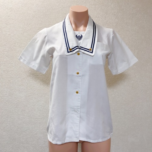 �����s �ߐ썂���w�Z�@(��)�t�F���V�A�@�����u���E�X