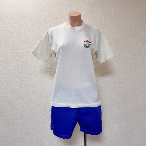和歌山県 橋本市立西部中学校　現在は併合につき廃校　体操着　Tシャツ　短パン(紫