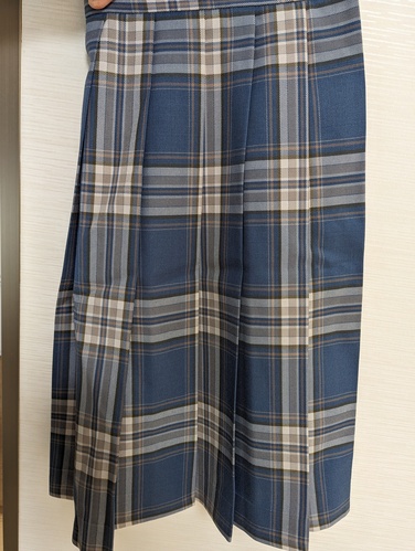 神奈川県 金沢総合高校　冬　スカート　