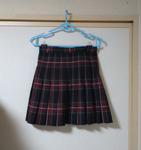 東京都　昭和第一高等学校夏スカート