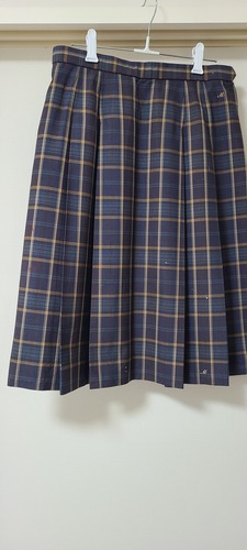 千葉県 千葉松戸国際高校 スカート  大きいサイズ 冬物 w75-丈63 やや難あり 