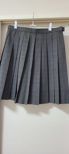 [不明] 不明  プリーツスカート 大きいサイズ 夏物 w80-丈54 チェック柄 