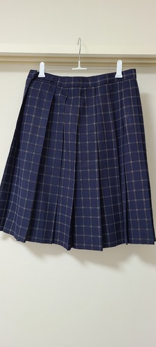 [不明] 冬服  プリーツスカート 大きいサイズ 夏物 w75-丈57 チェック柄 
