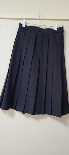 [不明] 不明 プリーツスカート 大きいサイズ 夏物 w72-丈62 チェック柄  
