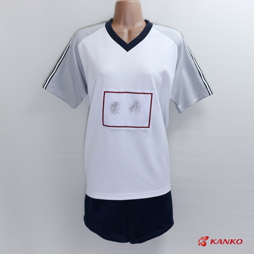 �F�{��  �� [G-385] ��Ök���w�Z�^���q�@�g���[�j���O�V���c���n�[�t�p���c�Z�b�g