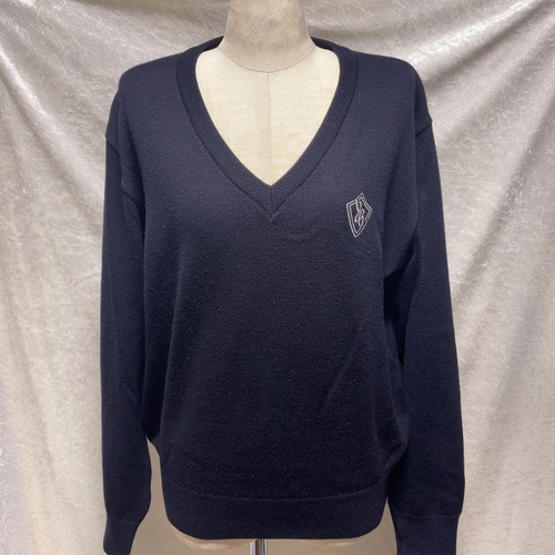 �_�ސ쌧 ���l���w�@�����w�Z�@����������с@���q�i�w�Z�@�Z�[�^�[