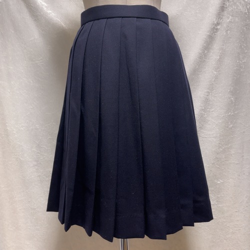 �_�ސ쌧 ���l���w�@���w�Z�E�����w�Z�@����������с@�i�w�Z�@�������ʐ����~�X�J�[�g