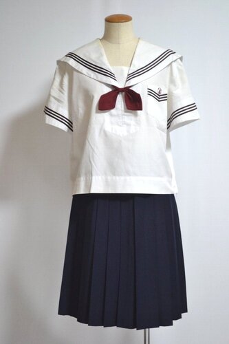  ���_�ސ쌧 ���l�x�m���u�w�����w�Z�E�����w�Z �Z�[���[�ĕ���T1694