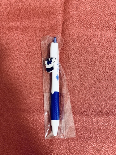 �����s �������w�� ���w�Z�E�����w�Z�@�{�[���y��