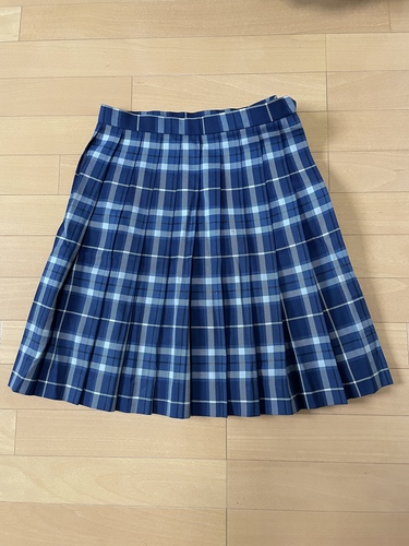 ���m�� 486 ���m�����m���ėm�����w�Z ���q���� �`�F�b�N�� �v���[�c�X�J�[�g  ���q�����O�h�J����