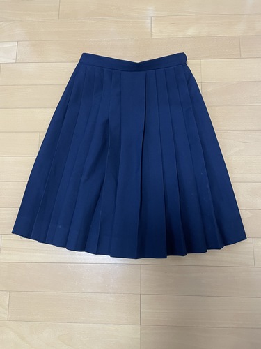 [�s��] 641 �x�m���@���q�����@�v���[�c�X�J�[�g�@���F�@�X�N�[���X�J�[�g  ���D�t��