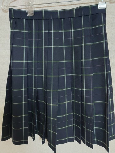 �����s �s���약���Z�X�J�[�g�i�~���j