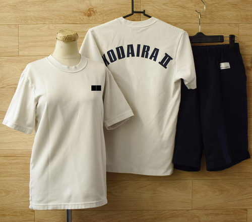  cǍDs s񒆊wZ w菗q̑/̈璅㉺ZSEM