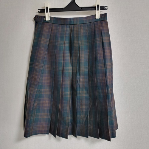 ��t�� ���� ���{�䏗�q�w�@ ���� �~�� �~�X�J�[�g �`�F�b�N�X�J�[�g �R�V�m�q���R