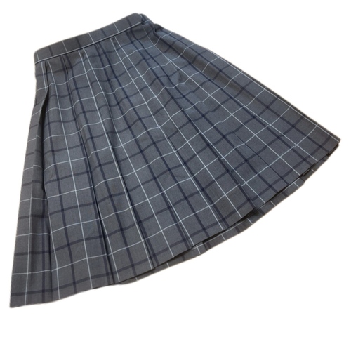 Ɍ Ɍ쐼kˍwZ@@ăXJ[g