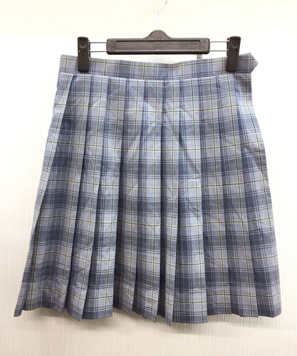  c���ǍD��ISAMI���q�w������ �l�C�`�F�b�N�� �ăX�J�[�gW66L57�����E�O���[�Ȃ� �s��