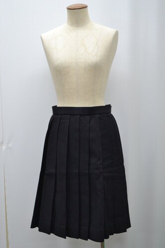  �Z�����s ���؏��w�@�����w�Z �~�X�J�[�g ����5169