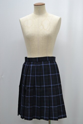  Zsize W86 ʌ 썂wZ ~XJ[g 5175