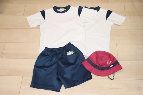 s ]旧CwZECwZ̈璅/̑EʊwXq