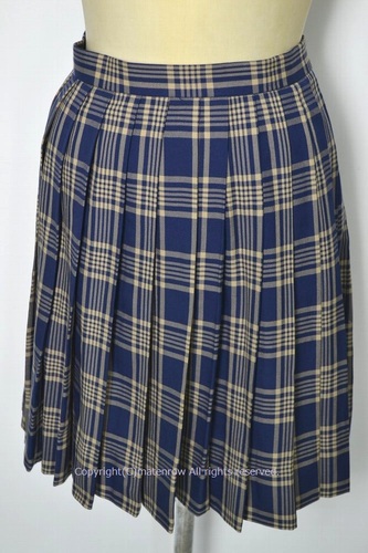  �Z�킯���� ��ʌ� �R���w�������w�Z �~�X�J�[�g ��5053