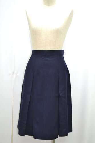  �Z��ʌ��� ��ː������w�Z �~�X�J�[�g ��&0250