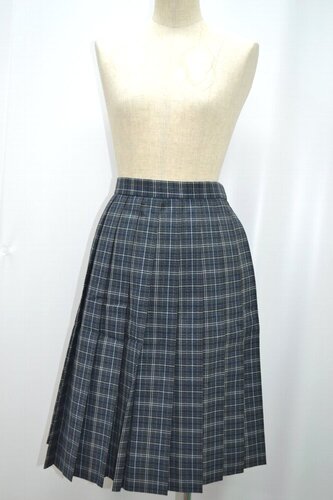  �Z��ʌ��� ���������w�Z �ăX�J�[�g ��&0256