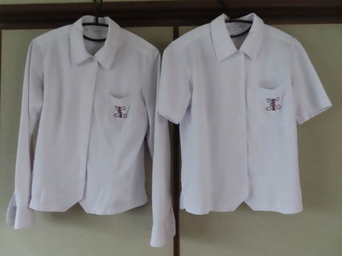 ޗǌ 傫TCY LL@ޗǌ@Z@ď㒅̂݁@Q_@