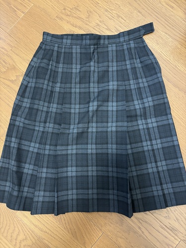 ���m�� �����@�t���u���w���Z�@���q�����@�X�J�[�g�@�傫���T�C�Y