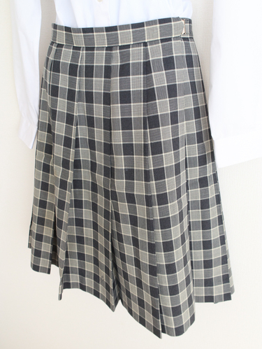 ��t�� ���a�w�@���w�Z�@�w��ă`�F�b�N�X�J�[�g