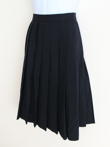 ���{ �H�ߊw���@���^�@�w��ăX�J�[�g�@�q���R�R�V�m�@���Ђ낱