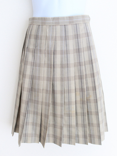 ��ʌ� �����_�H�Ȋw�����w�Z�@�w��ă`�F�b�N�X�J�[�g�@JACOWA