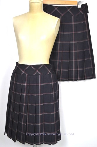  Zʌ ߃wZ ~ăXJ[g 5355