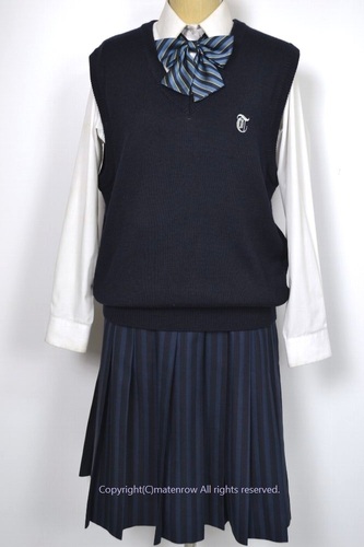  Zsize _ސ쌧 ˈwwZ xXg ~XJ[g 5373