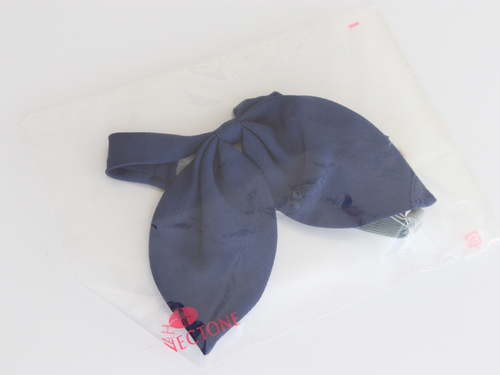 ��ʌ� �󏭁@�V�i���g�p�@�������������w�Z�@���^�C�v�@�w�胊�{���@���F