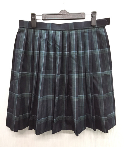  a�����i���J���R�[���q�w������ �l�C�`�F�b�N�� �~�X�J�[�gW75L48���΁E�� �s��