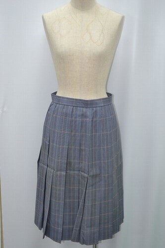  Zt 䑷qwZ ăXJ[g 5399