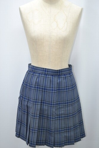  ZF`FbN ă~jXJ[g  s5419