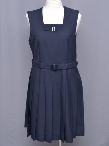 ���ꌧ ��jsk-3232 �W�����o�[�X�J�[�g�i�~��铌���j��