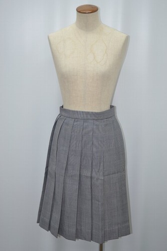  �Z�Q�n���� ���c�����q�����w�Z �ăX�J�[�g ����5459