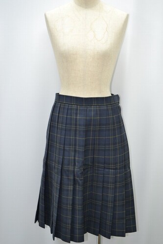  �Z��size �����s ������w�ڍ����w �����w�Z �~�X�J�[�g ����5490