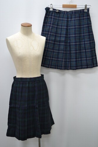  �Z�����s ���������w�Z �~�ăX�J�[�g ����5493