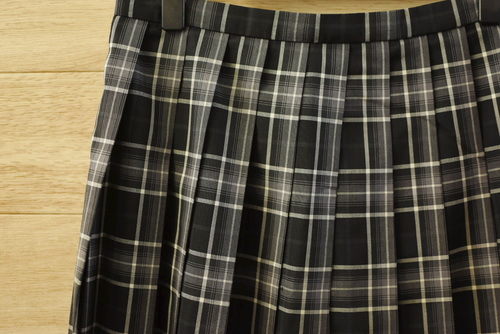  a���傫��W69L48�������s �����q�w�� �����q���w�Z�E�����w�Z �l�C�`�F�b�N�� �ăX�J�[�g�����E��