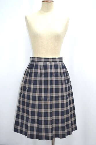  �Z�����s ���V�����w�Z �ăX�J�[�g ��&0494