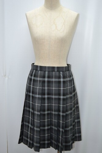  Zsize  u[ O[n `FbN ăXJ[g s 5517