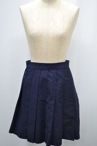  Z_ސ쌧 awZ ăXJ[g 5540