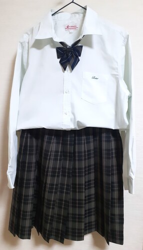  usv傫 w73 { ăXJ[g uEX