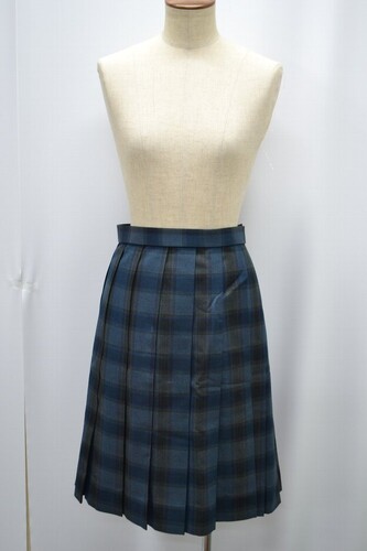  Zsize W75 ʌ ԌzwZ ~XJ[g 5550