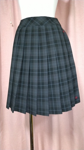 򕌌 QwZ nCEGXg`FbN~jXJ[g ĕ