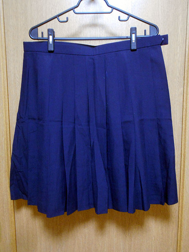 ���{ ��s ��l���w�Z �ĕ� ���� �X�J�[�g �� ���Ђ�24�{